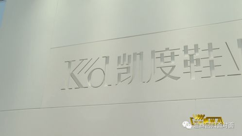 劉彬 以產品研發驅動溫州鞋業升級，教育項目與科研文獻并進